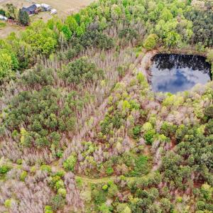 11-web-or-mls-DJI_0777