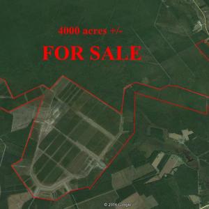 4000-acres-for-sale_29927744793_o