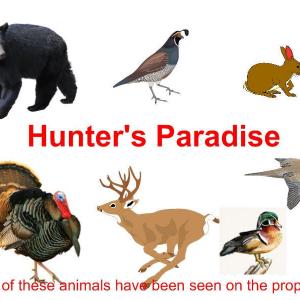 hunters paradise