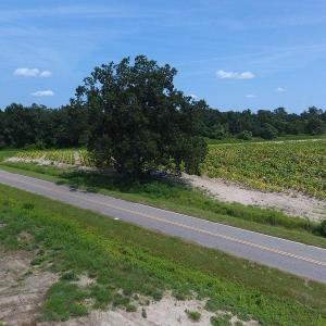 Photo #16 of SOLD property in 1011 Fletcher Road, Rowland, NC 130.0 acres