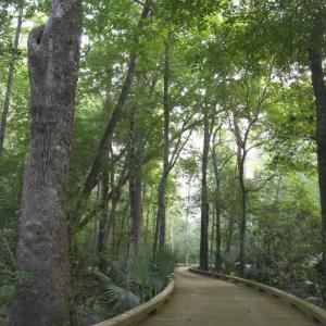 Nature Trails Through Neighborhood