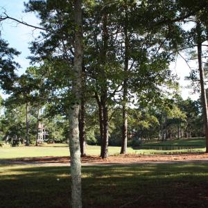 Quiet and Wooded Golf with Pond View Hom