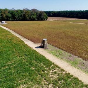 Photo #7 of SOLD property in 147 Quitsna Road, Windsor, NC 31.0 acres