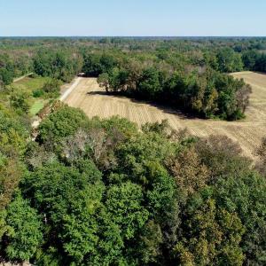 Photo #13 of SOLD property in 147 Quitsna Road, Windsor, NC 31.0 acres
