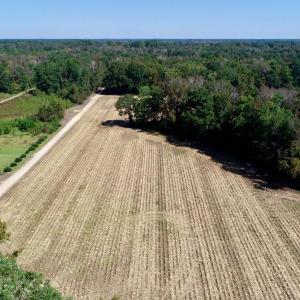 Photo #14 of SOLD property in 147 Quitsna Road, Windsor, NC 31.0 acres