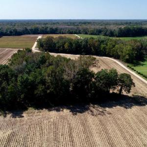 Photo #15 of SOLD property in 147 Quitsna Road, Windsor, NC 31.0 acres
