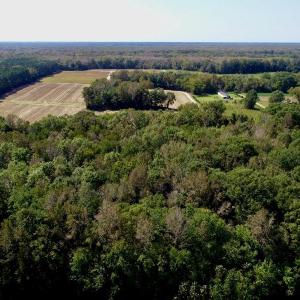 Photo #16 of SOLD property in 147 Quitsna Road, Windsor, NC 31.0 acres