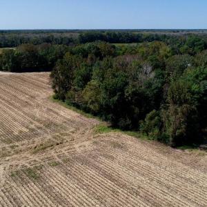 Photo #22 of SOLD property in 147 Quitsna Road, Windsor, NC 31.0 acres
