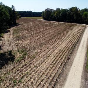 Photo #25 of SOLD property in 147 Quitsna Road, Windsor, NC 31.0 acres