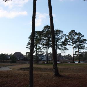 Wooded Homesite on the Golf Course