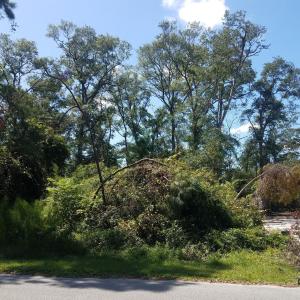 Wooded Lot adjacent to Cleared Lot