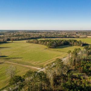 125 Acre Tract