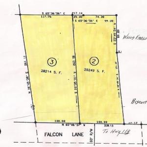 falcon 1