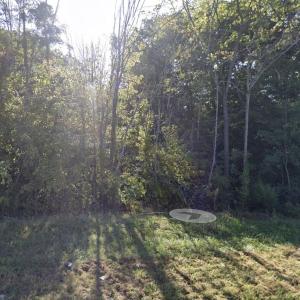 Screenshot 2024-05-01 at 1.50.58PM