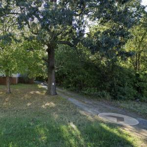 Screenshot 2024-05-01 at 1.50.47PM