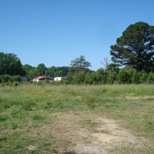 DSC06215