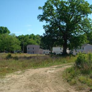 DSC06222