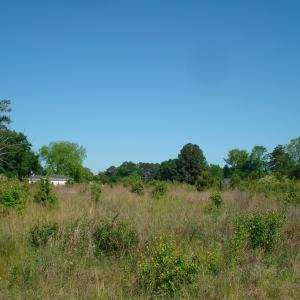 DSC06224