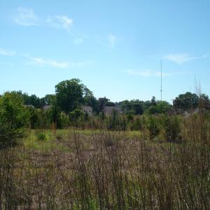 DSC06229