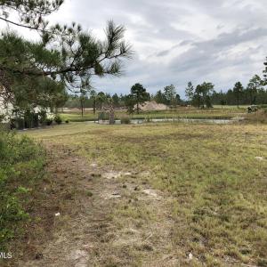Lot with Pond back