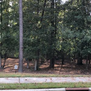 Lot 1-