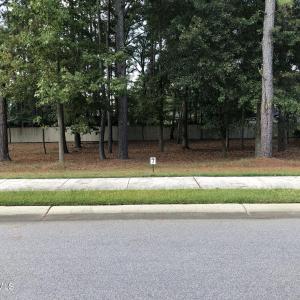Lot 7