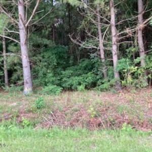 Waycross Timber