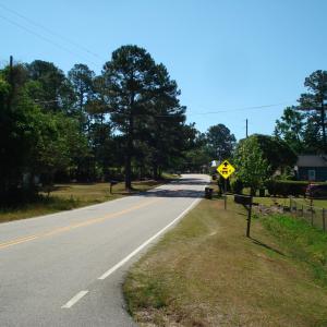 DSC06246