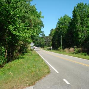 DSC06247