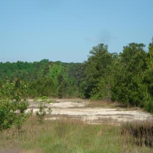 DSC06255