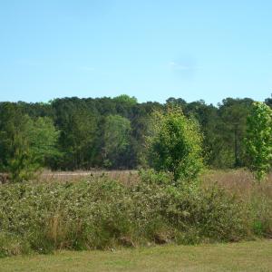 DSC06264
