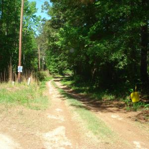 DSC06268