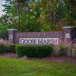 Goose Marsh Home-1