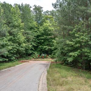 0-old-airport-Carolina Town Ln Street Vi