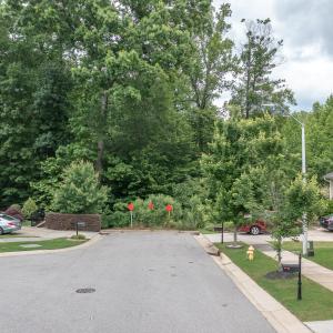 0-old-airport-Harbor Fog Street View