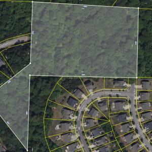 Satellite Image with lot lines