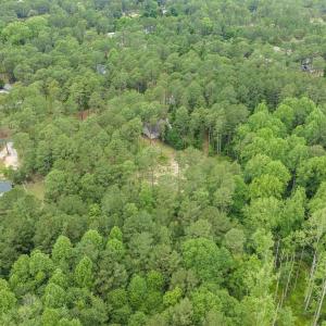 5-web-or-mls-DJI_0611