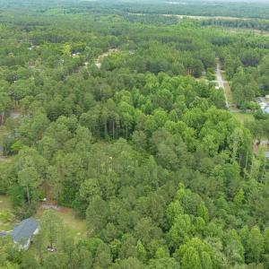 7-web-or-mls-DJI_0613