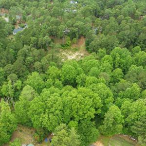 18-web-or-mls-DJI_0624