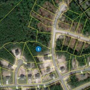 117 mississippi dr