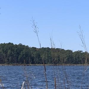 IMG_6004