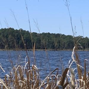 IMG_6001