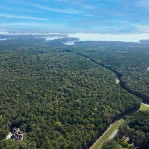 Lot Plan without lines - Firefly Overloo