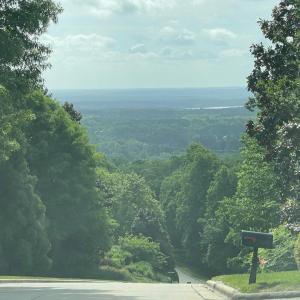 036-465670-IMG_4840_13405889