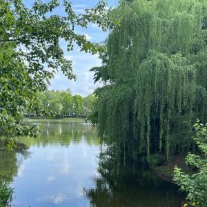 035-465670-IMG_4838_13405887