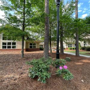 027-465670-IMG_4775_13405783