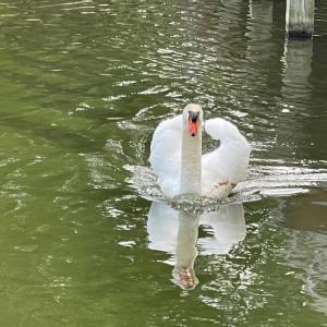 025-465670-IMG_4805_13405852