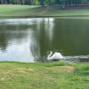 024-465670-IMG_4808_13405853