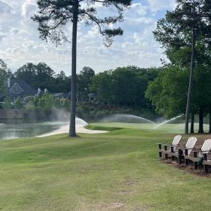 017-465670-IMG_4802_13405849