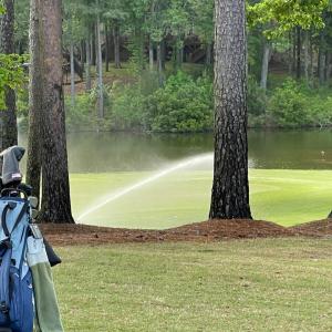 015-465670-IMG_4796_13405843